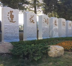 異形石